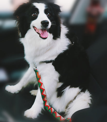 Pet Car Seat Safety Belt