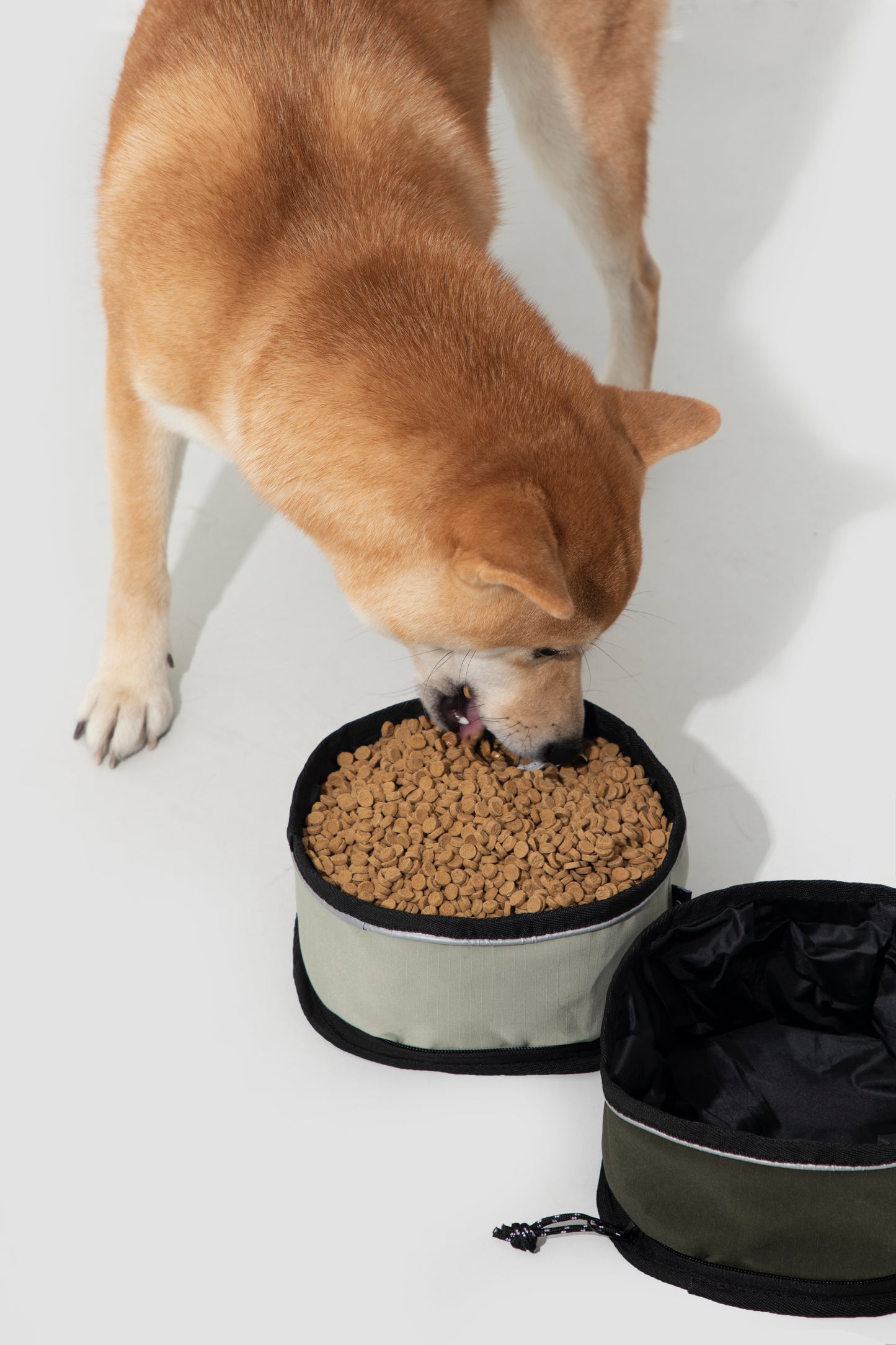 Foldable Water Bowl