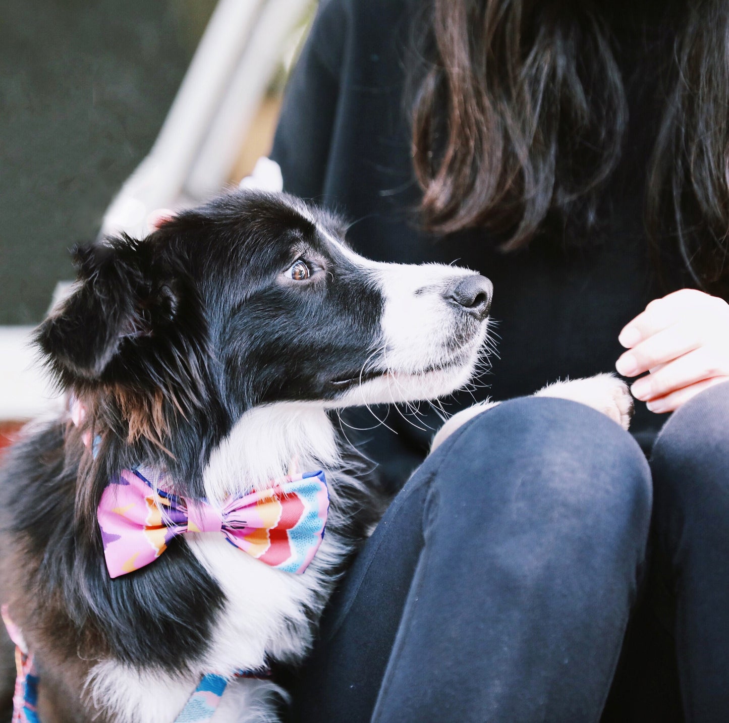 Colorful Bow Tie