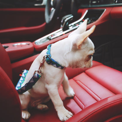 Pet Car Seat Safety Belt