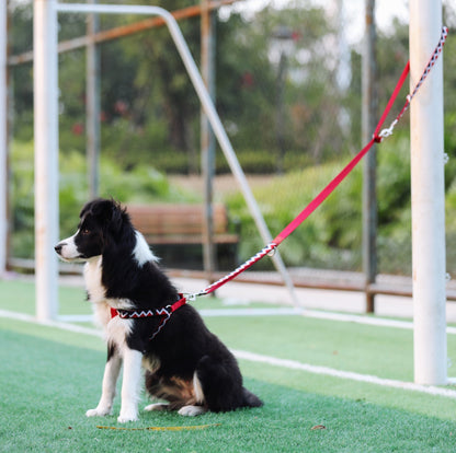 Rainbow Multi Functional Leash