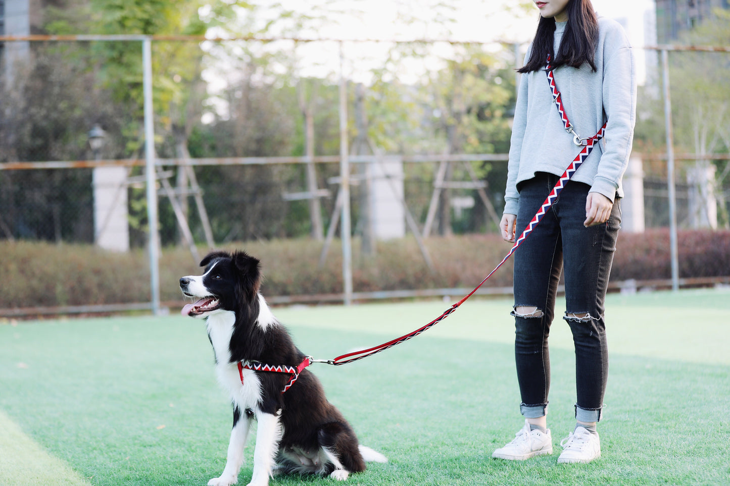 Rainbow Multi Functional Leash