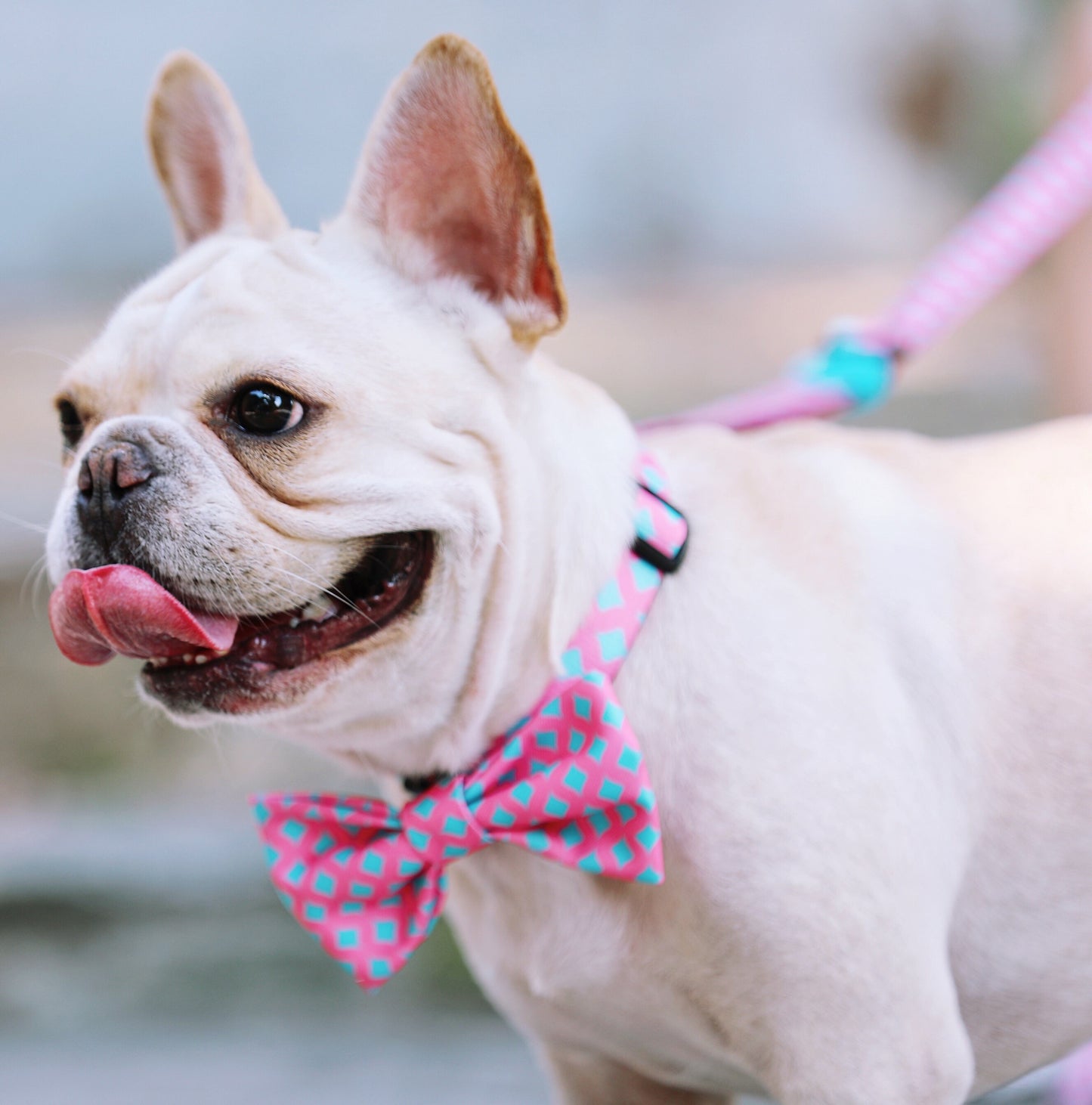 Colorful Bow Tie