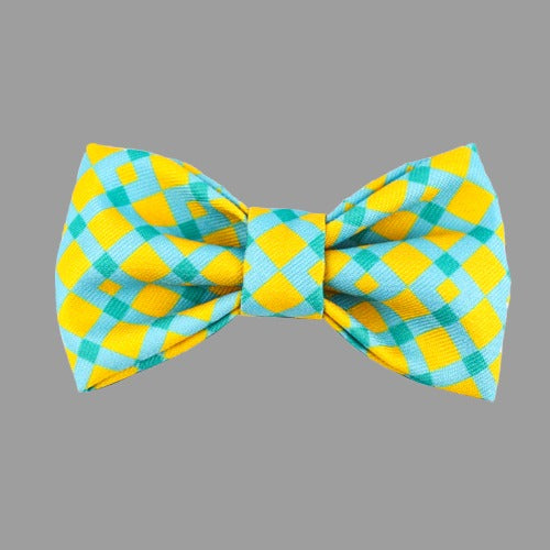 Colorful Bow Tie