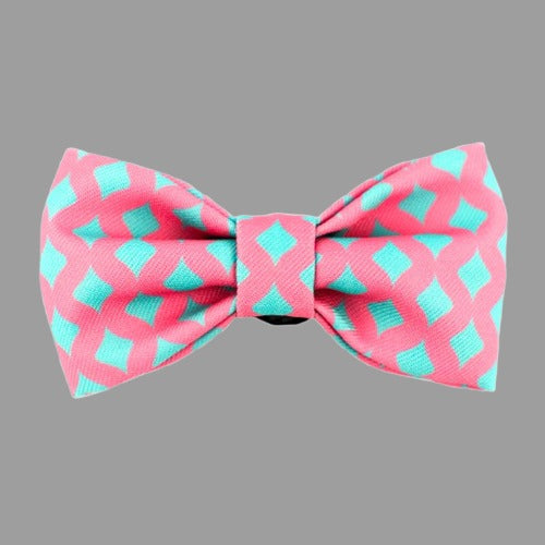 Colorful Bow Tie