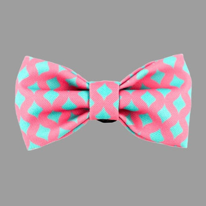 Colorful Bow Tie