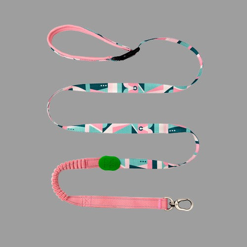 Pro Multifunctional Leash