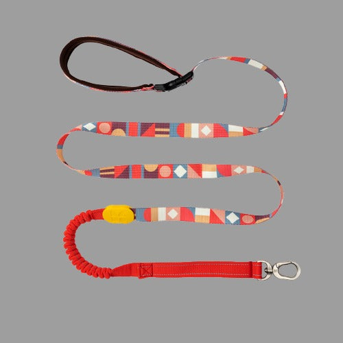 Pro Multifunctional Leash