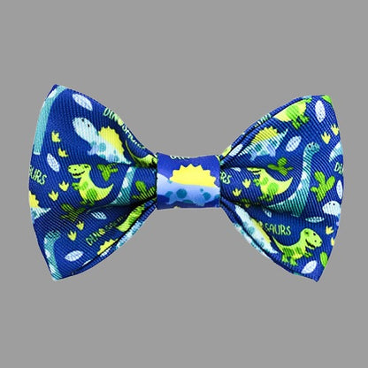 Colorful Bow Tie